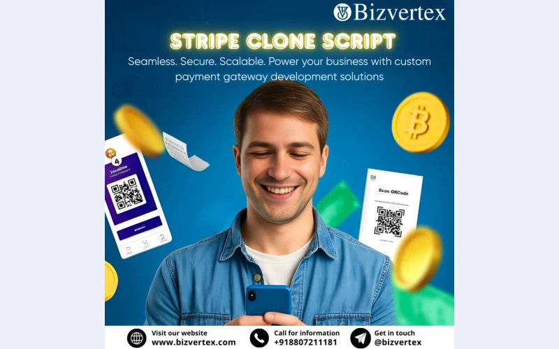 What Makes Stripe Clone Script the Best Choice for Entrepreneurs?